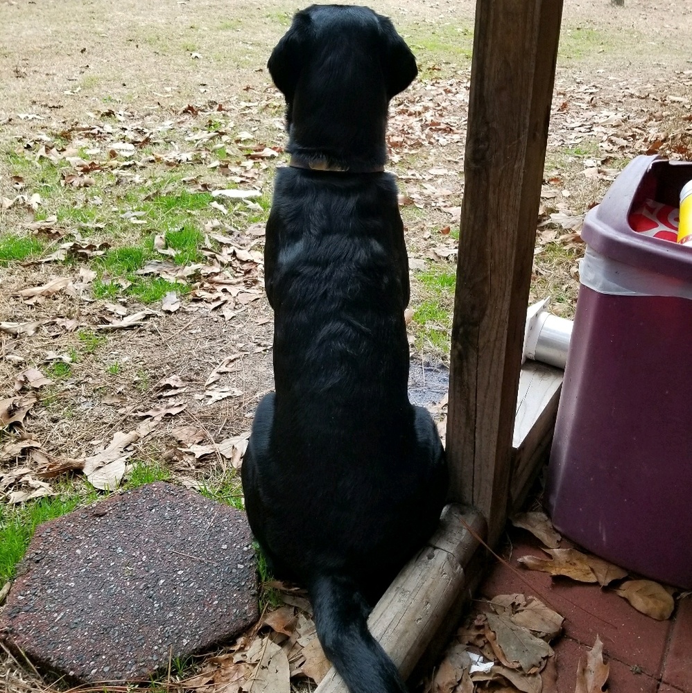 Meet your Posher, Bryan